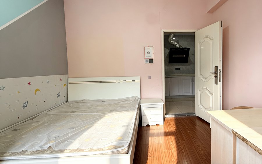 星悦城一室一厨一卫包物业