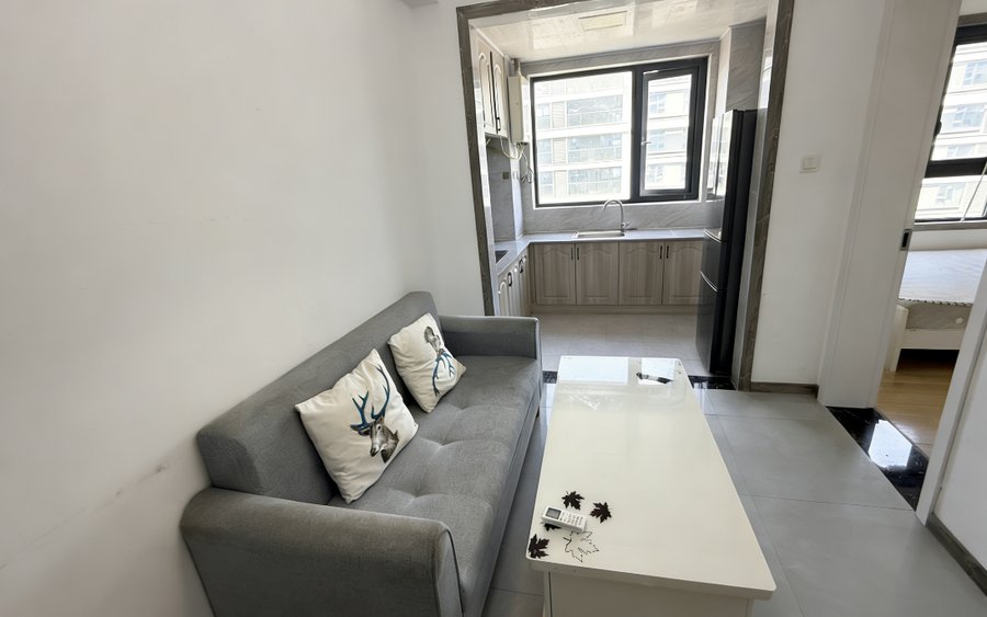 星悦城一室一厅一卫带燃气