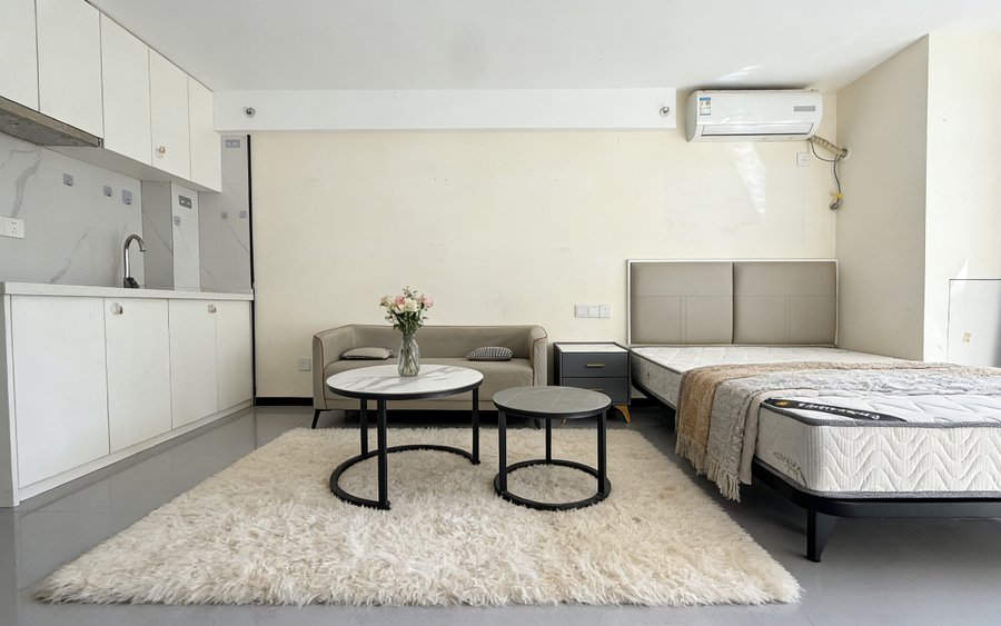 青山智汇城一室一厅一卫包车位包物业